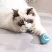 “Otomatik akıllı hareketli kedi oyuncağı, sıkılan kediler için etkileşimli oyun.”